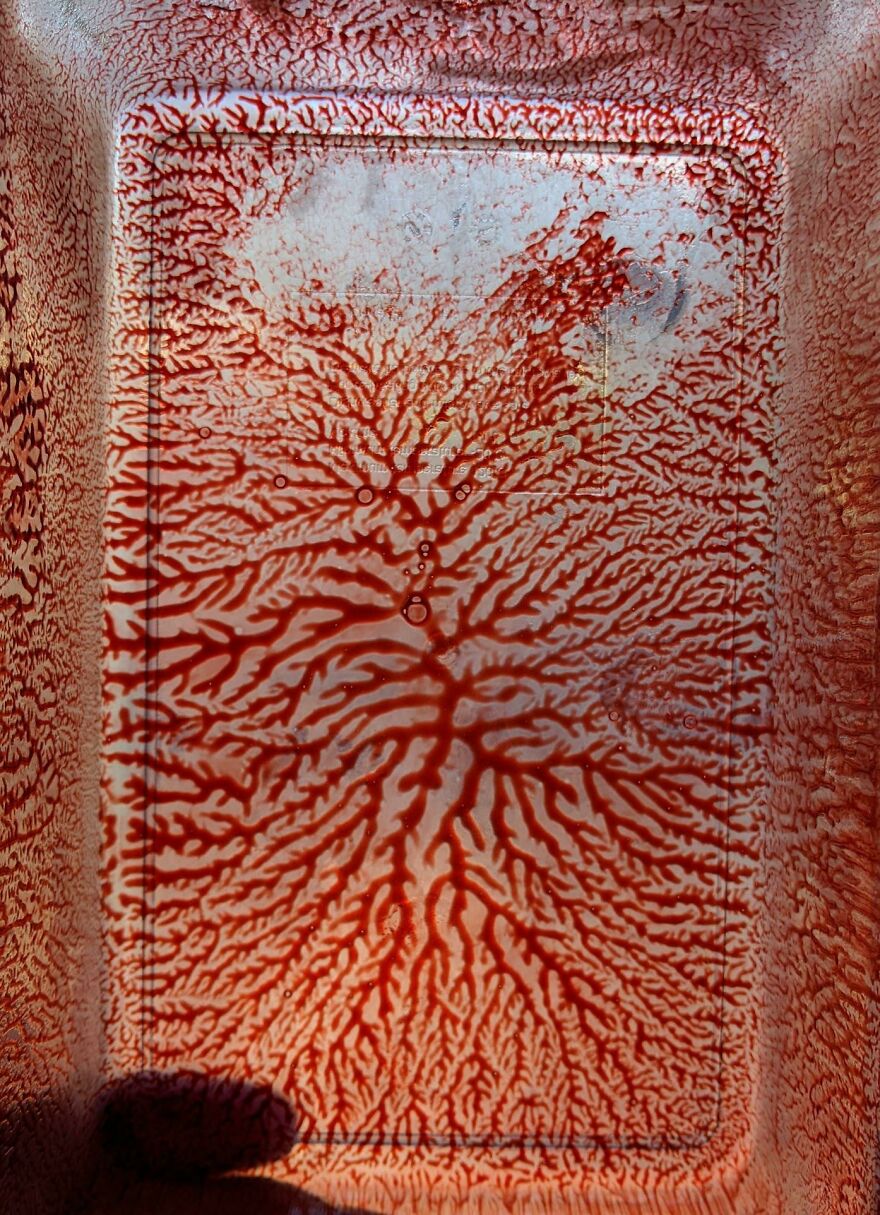 Dendritic Patterns In A Container After Removing A Block Of Frozen Blackberry Juice