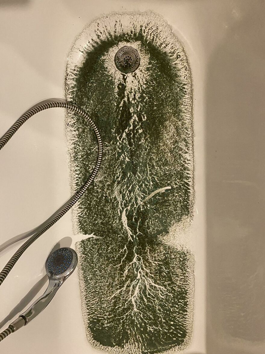 Dirt Of The Balcony Carpet. Looks Like Roots