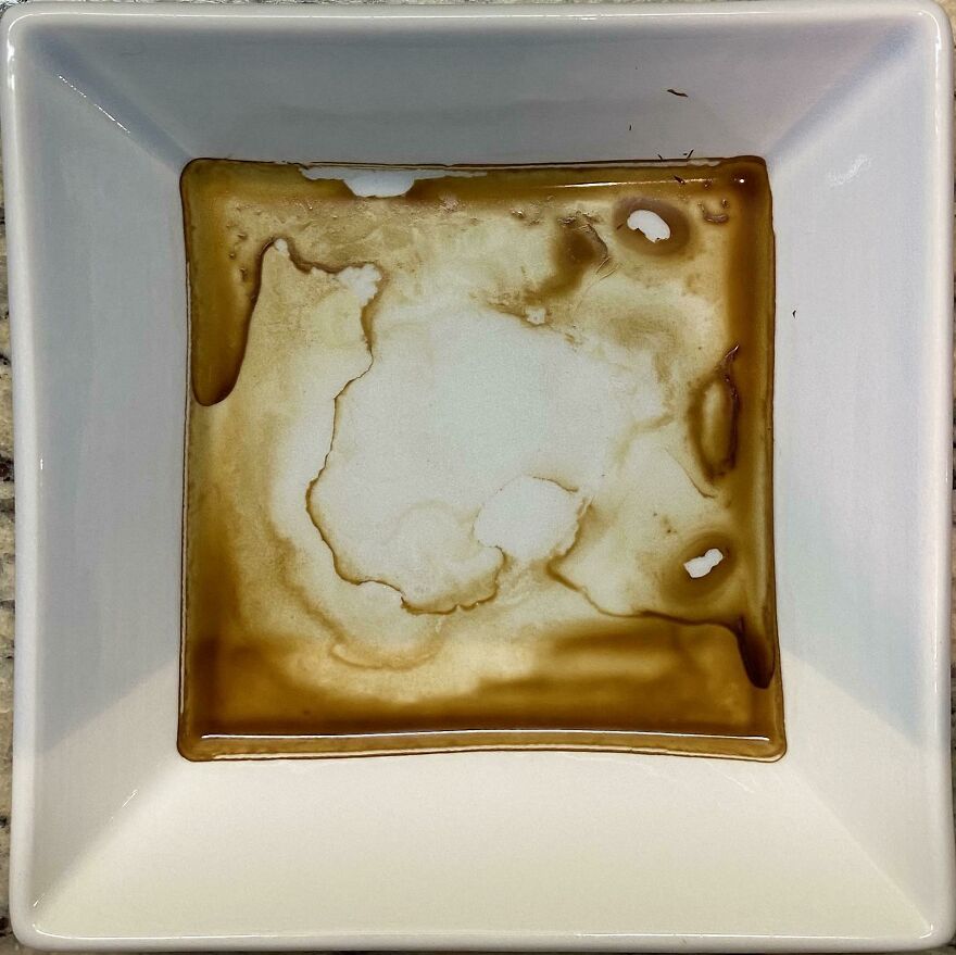 Cat Watching Sunrise