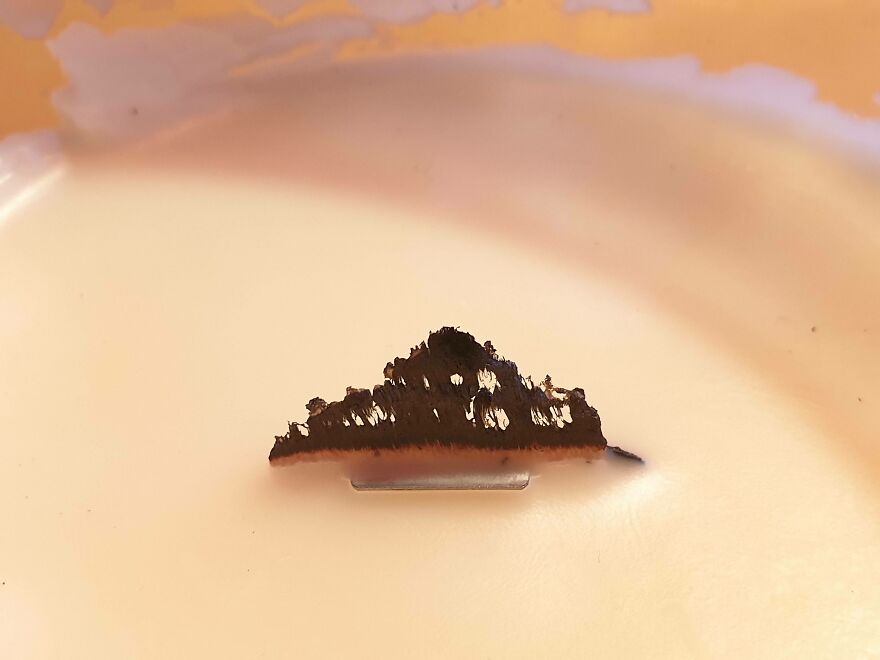 Used Wick On My Candle Looks Like A Forrest Scape