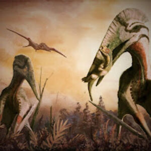 sandrodugladze avatar