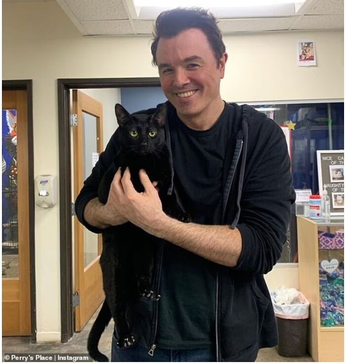 Seth Adopted A Kitty