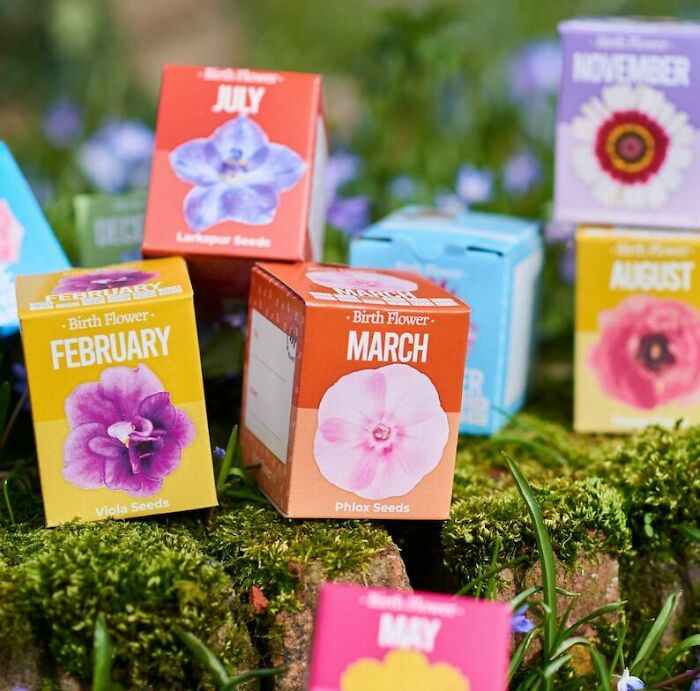 Grow Your Own Birth Flower Gift
