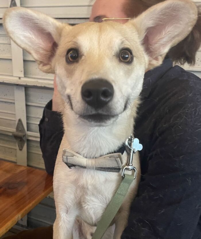 All Smiles At The Brewery Tonight!