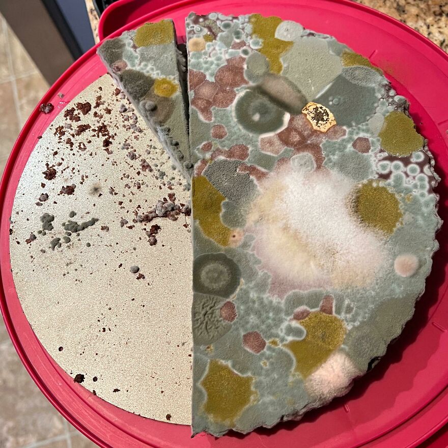 A Chocolate Tart I Neglected To Remember I Made