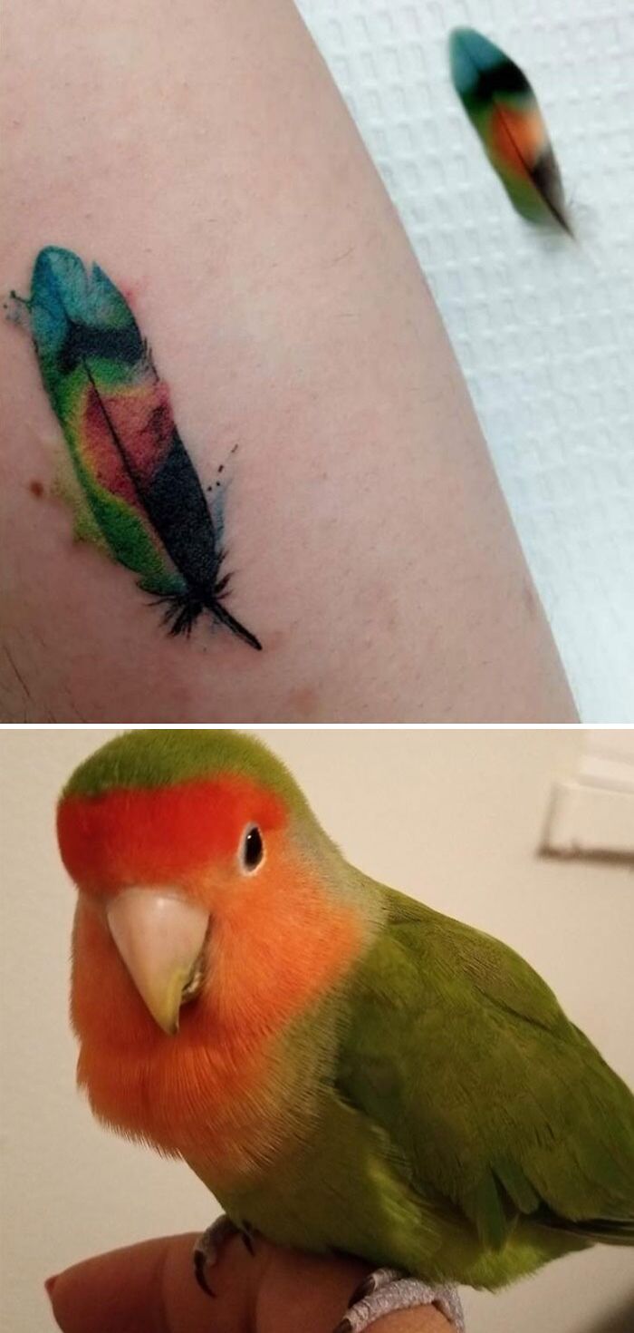 First Tattoo Inspired By My Pet