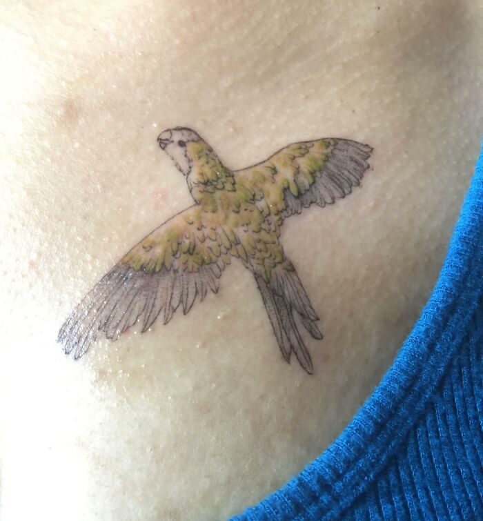 My Parrot, Sky, Who Had Passed Away. Got A Tattoo To Commemorate His Memory
