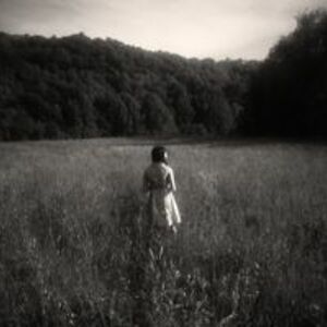 henrytheape95 avatar