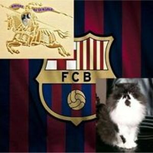 jaimegamellriera avatar