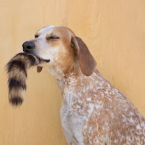 maryfetherston avatar