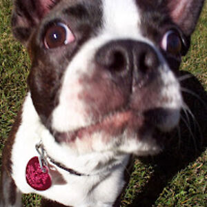 barythompson_1 avatar