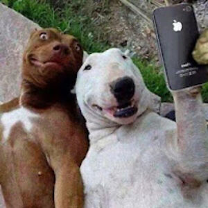 simonajezkova avatar