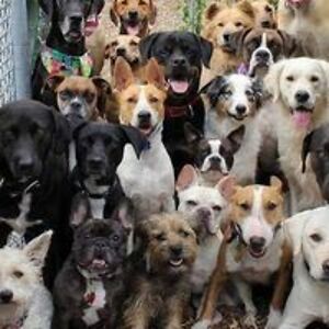 jacquelinelong39 avatar