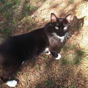 theresaforstrom avatar