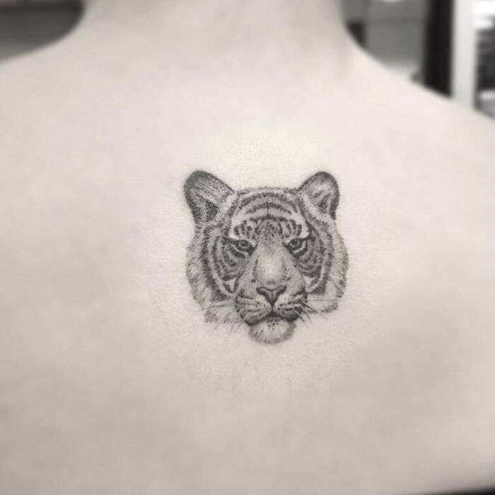 Tiger face tattoo on a person's back, showcasing celebrity tattoo art.