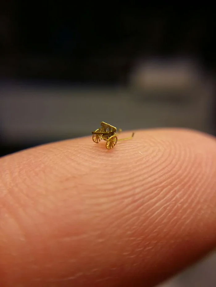 What Is This, A Cannon For Ants??