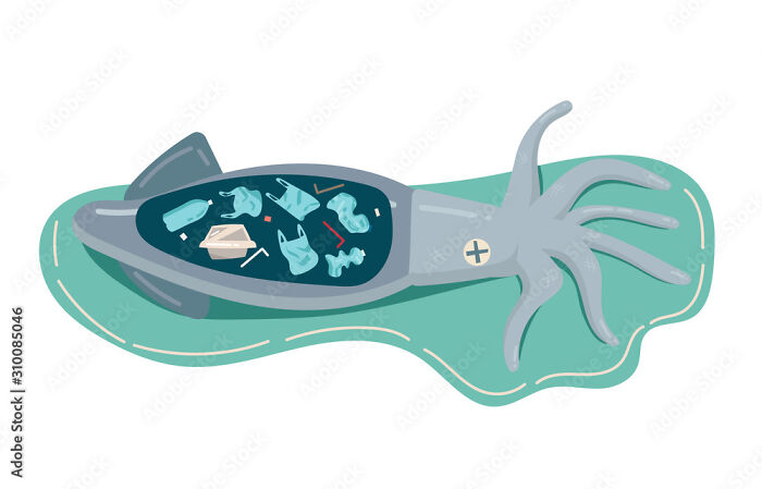 Pedo, Why Do You Wanna See Kids Outfits?