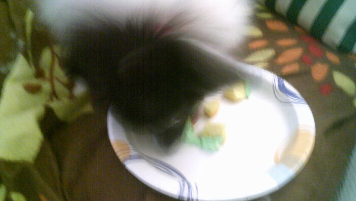 Her Birthday Cupcake