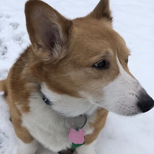 djnathandouglas avatar