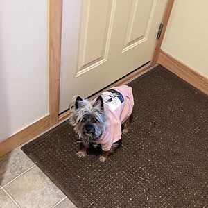 melindalarson avatar