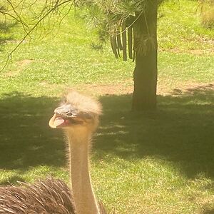 philippa_bergin avatar