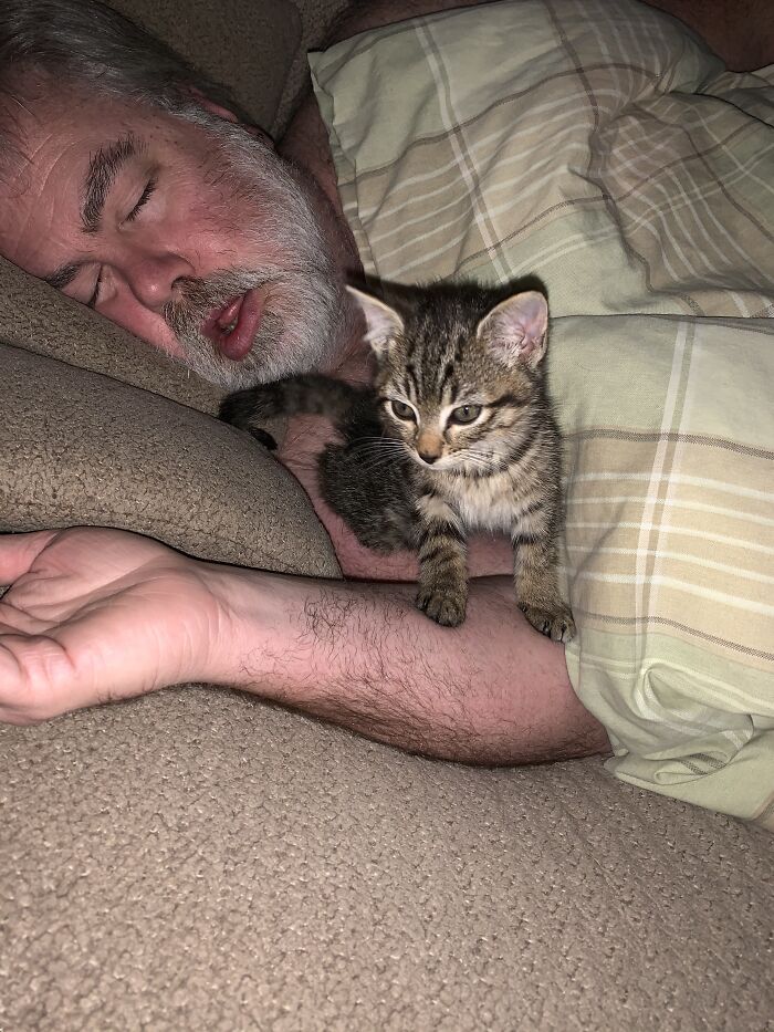 Elvira Napping With My Husband. She Was Feral And He Rescued Her From Being Run Over By Tractor Trailers