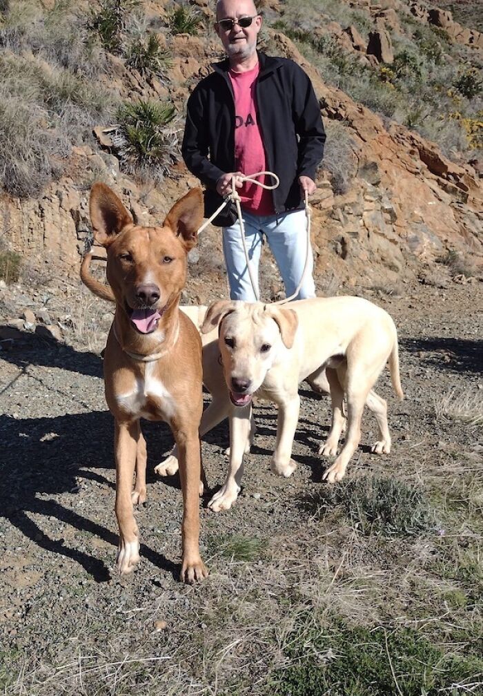 We Teach New Dogs, Using Old Tricks, At The Adana Dog Rescue Centre We Teach New Dogs, Using Old Tricks, At The Adana Dog Rescue Centre