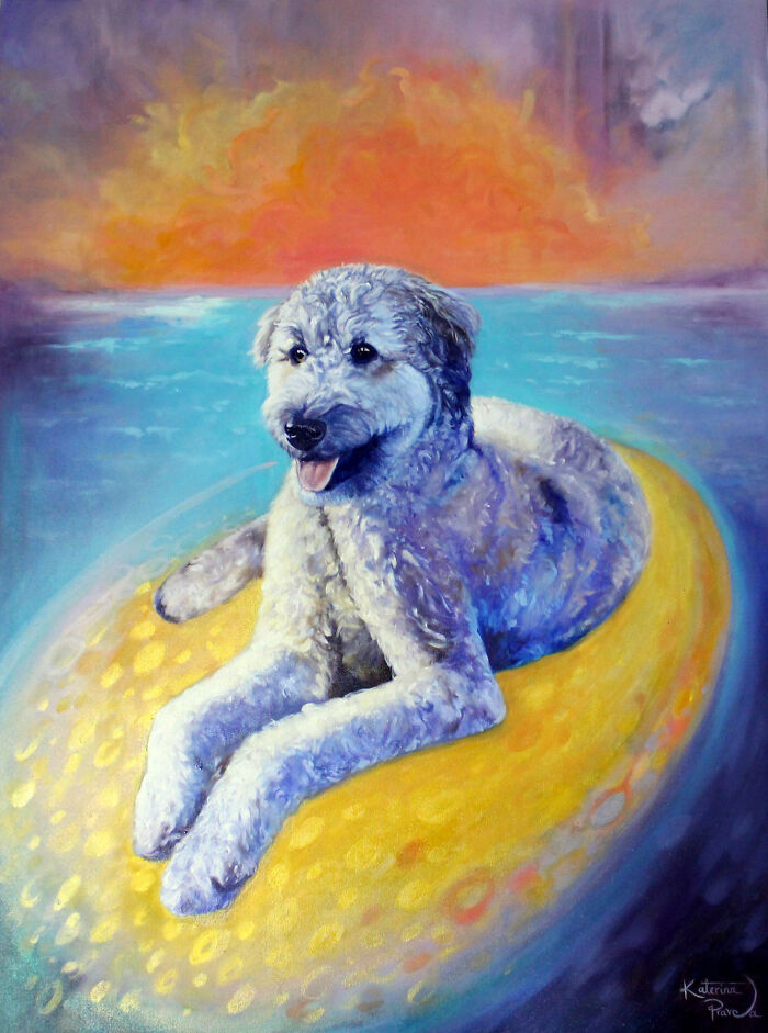 I Capture The Beautiful Souls Of The Animals I Paint (6 Pics) I Capture The Beautiful Souls Of The Animals I Paint (6 Pics)