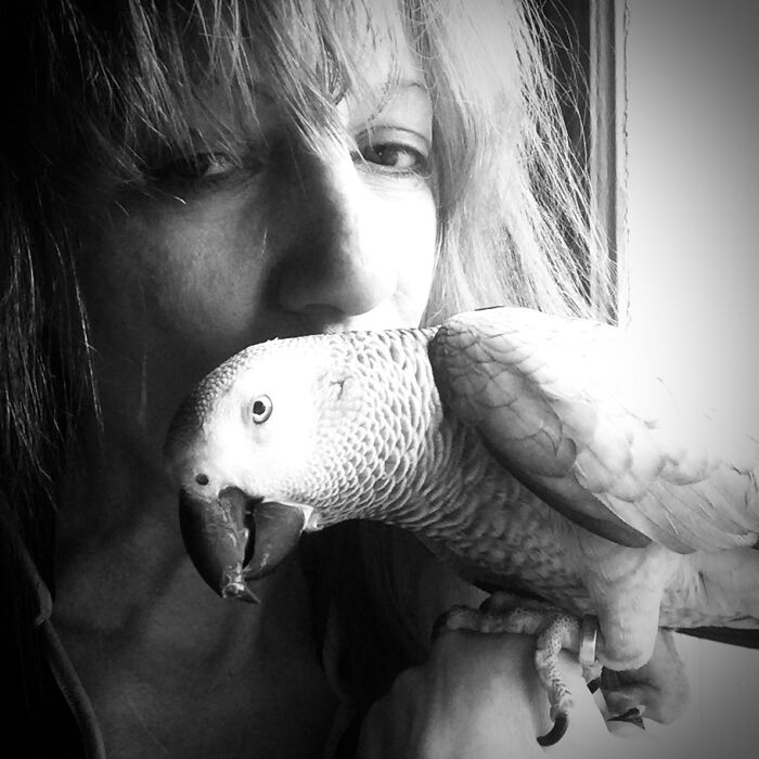 La Vie En Gris 🤍 — Albert, My Son! 34 Y/O African Gray Parrot