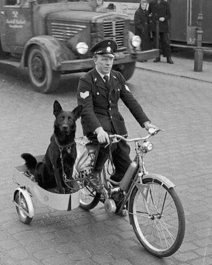 Perro policía de servicio en un sidecar. 1930