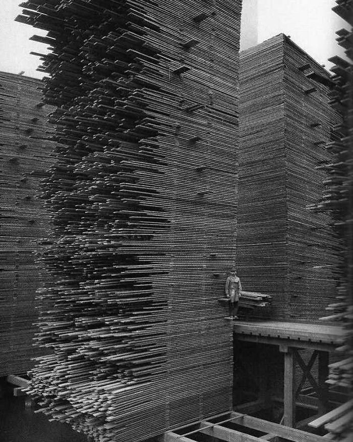 Hombre de pie en el aserradero de Seattle Cedar Lumber Manufacturing, 1939
