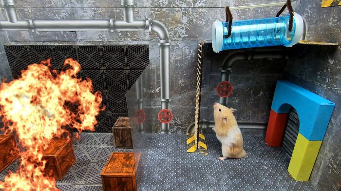 My Hamster Escapes From Hostile Huggy Wuggy In The Awesome Poppy Playtime Maze That I Made (12 Pics) My Hamster Escapes From Hostile Huggy Wuggy In The Awesome Poppy Playtime Maze That I Made (12 Pics)