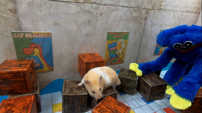 My Hamster Escapes From Hostile Huggy Wuggy In The Awesome Poppy Playtime Maze That I Made (12 Pics) My Hamster Escapes From Hostile Huggy Wuggy In The Awesome Poppy Playtime Maze That I Made (12 Pics)