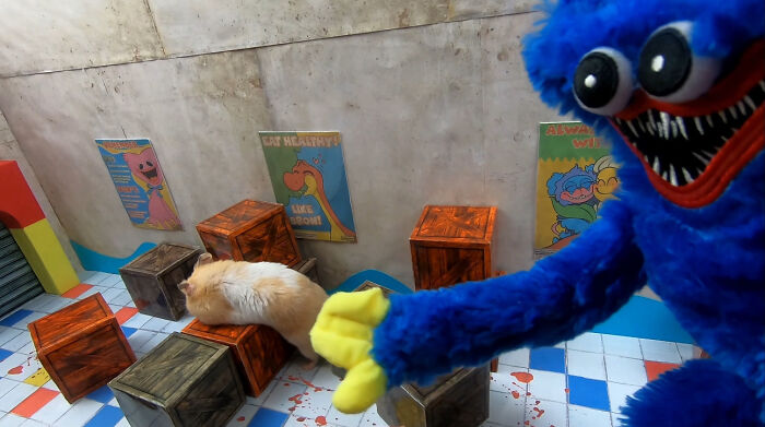 My Hamster Escapes From Hostile Huggy Wuggy In The Awesome Poppy Playtime Maze That I Made (12 Pics) My Hamster Escapes From Hostile Huggy Wuggy In The Awesome Poppy Playtime Maze That I Made (12 Pics)