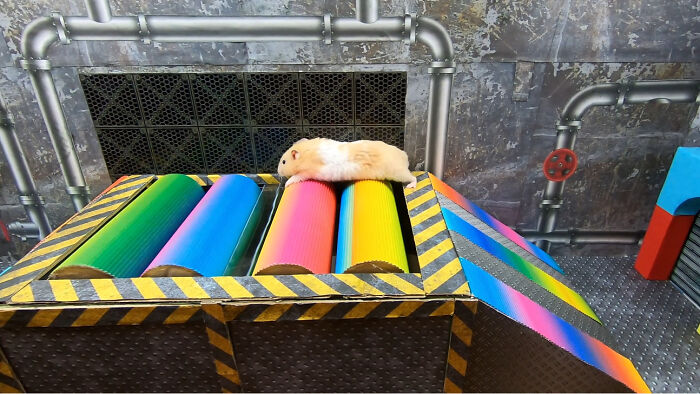 My Hamster Escapes From Hostile Huggy Wuggy In The Awesome Poppy Playtime Maze That I Made (12 Pics) My Hamster Escapes From Hostile Huggy Wuggy In The Awesome Poppy Playtime Maze That I Made (12 Pics)