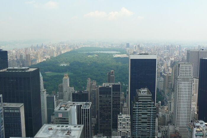 Central park's view 