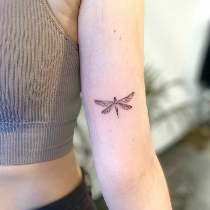 minimalistic tattoo of a dragonfly
