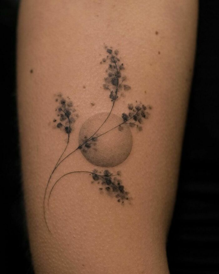 Nice Mimosa Plant Tattoo By Casey