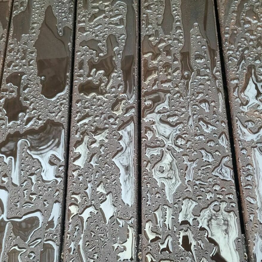 Yesterday's Rainy Day Pics. What A Difference A Day Makes