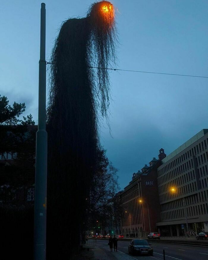 This Street Lamp In Wroclaw, Poland
