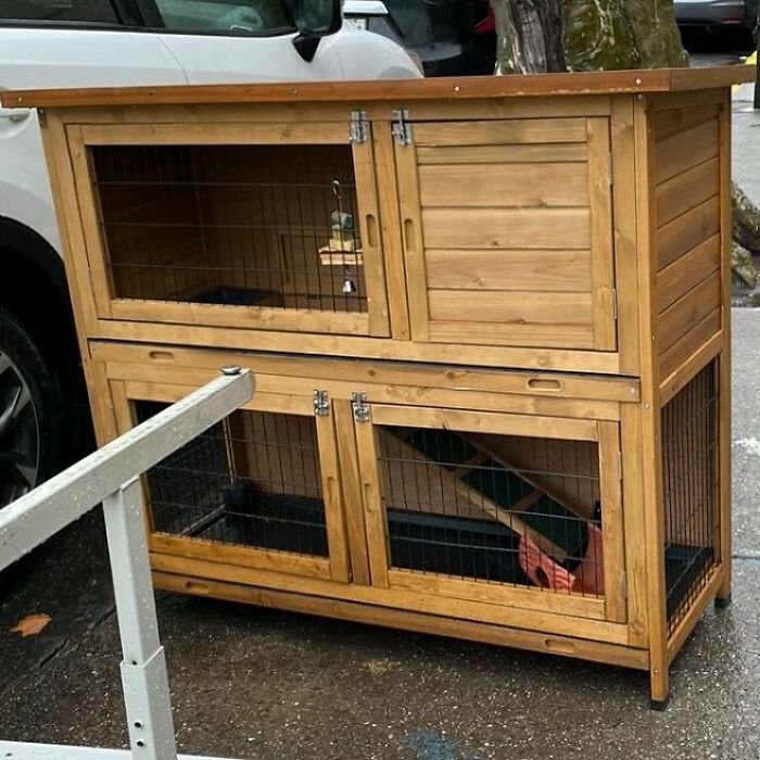 If Anyone Knows Someone With A Furry Friend, This A Serious Bunny Or Guinea Pig House