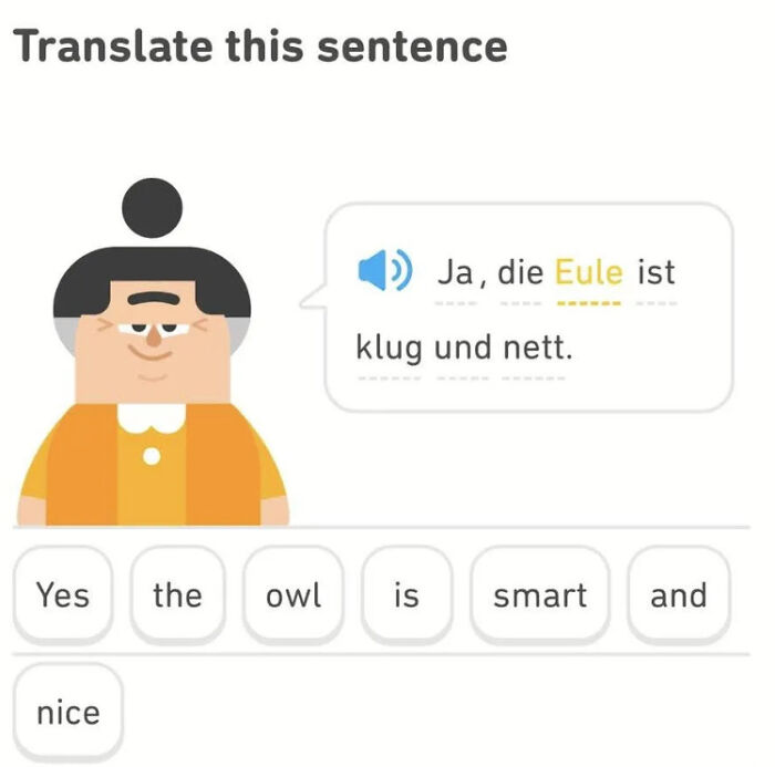 Duolingo Complementing Thyself
