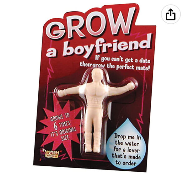 Are You Lonely We’ll Get A Grow A Boyfriend/Girlfriend For Only $6.49