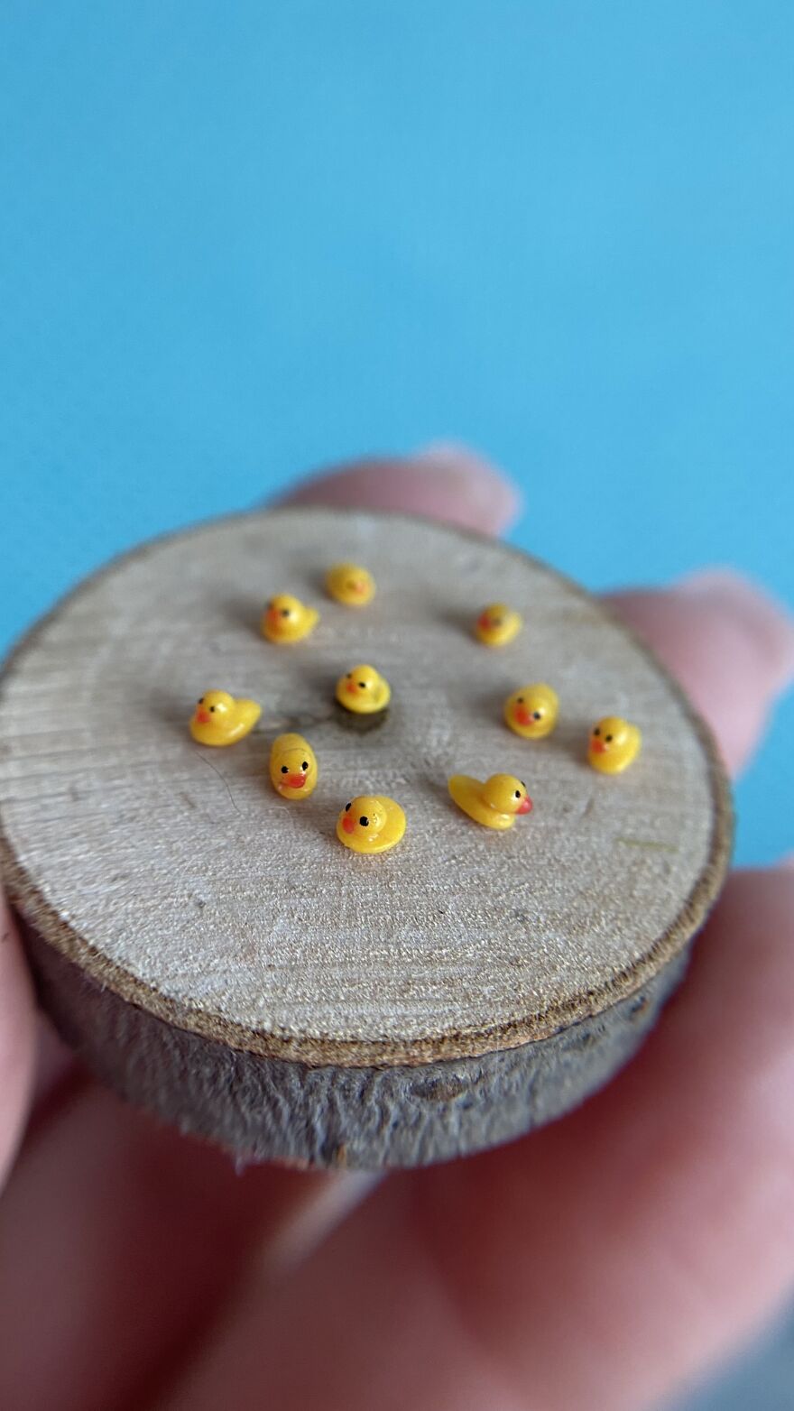 I Create Tiny Worlds Inside Walnut Shells (21 Pics)