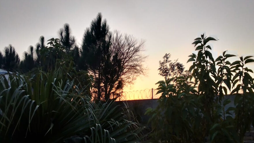 Here Are The Most Beautiful Scenes Of Plants During Sun Drowning Here Are The Most Beautiful Scenes Of Plants During Sun Drowning