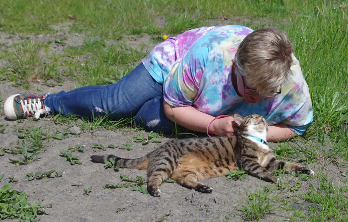 My Wife Adopted A Blind Cat That Was Rescued From The Streets Of Wrexham And This Is How Her Life Looks Now My Wife Adopted A Blind Cat That Was Rescued From The Streets Of Wrexham And This Is How Her Life Looks Now