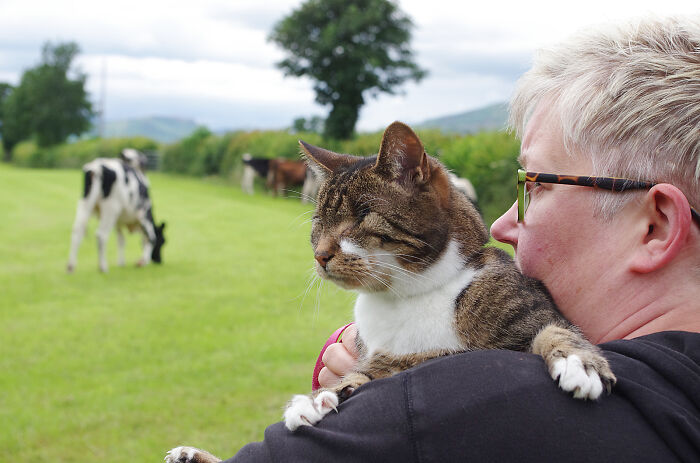 My Wife Adopted A Blind Cat That Was Rescued From The Streets Of Wrexham And This Is How Her Life Looks Now