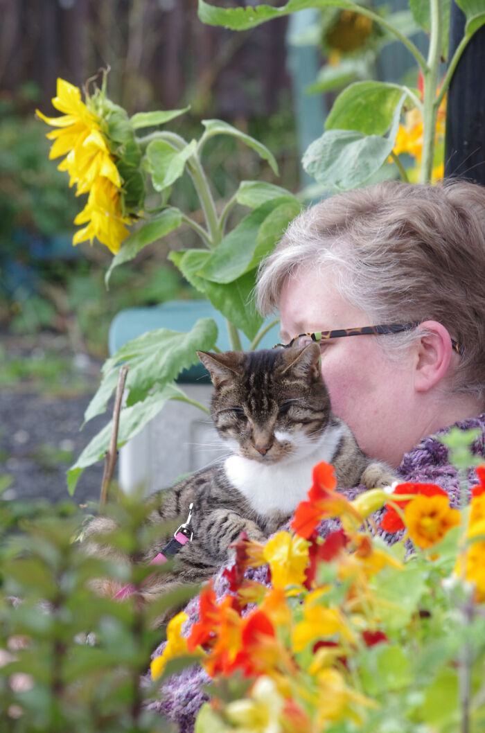 My Wife Adopted A Blind Cat That Was Rescued From The Streets Of Wrexham And This Is How Her Life Looks Now