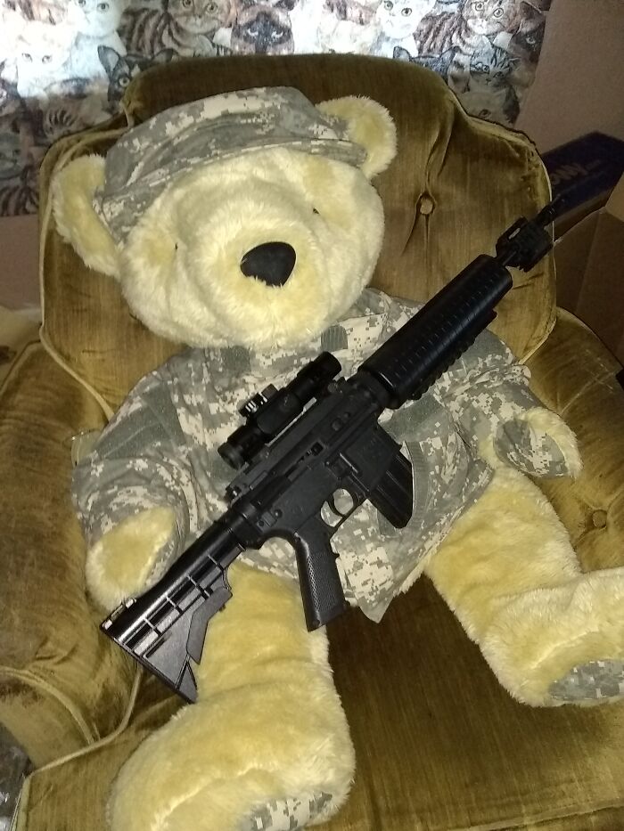 Ssgt Bear, Reporting For Duty! (Full Size M4 Air Rifle For Scale)