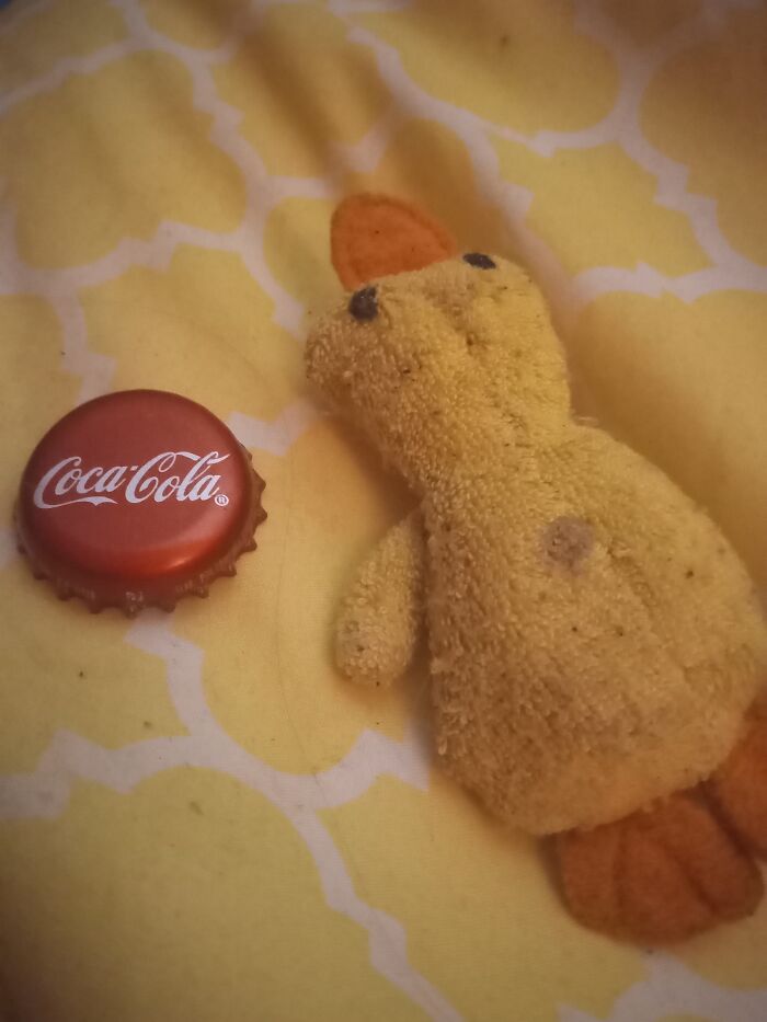 This Is Duckless Not Douglas I Got Him The Day My Little Brother Was Born And I Named Him Duckless Everyone I Knew Said Don't You Mean Mean Douglas And I Screamed Duckless Loli Keep Him With Me At All Times . Bottle Cap For Scale I Don't Have A Banana For Scale As I'm Super Allergic To Them